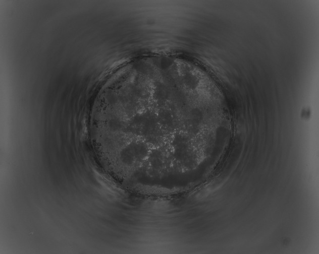 X0000091531106200708311304