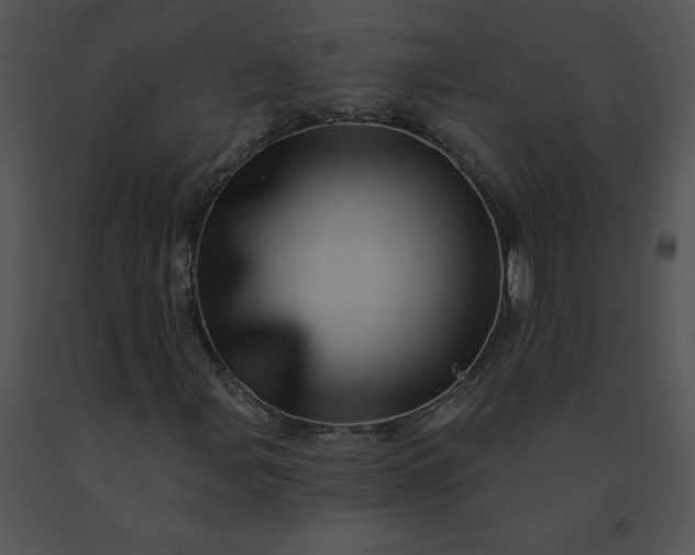 X0000091531107200708311304