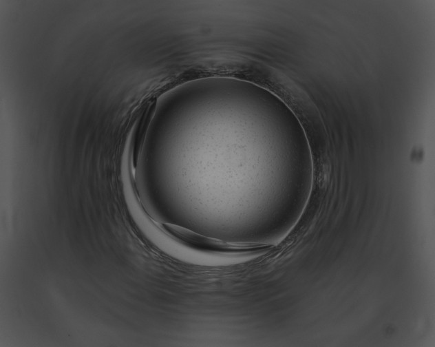 X0000091531108200708311304