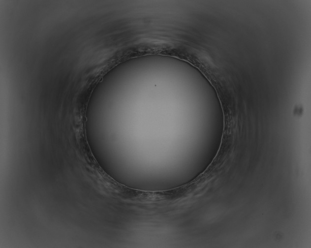 X0000091531109200708311304