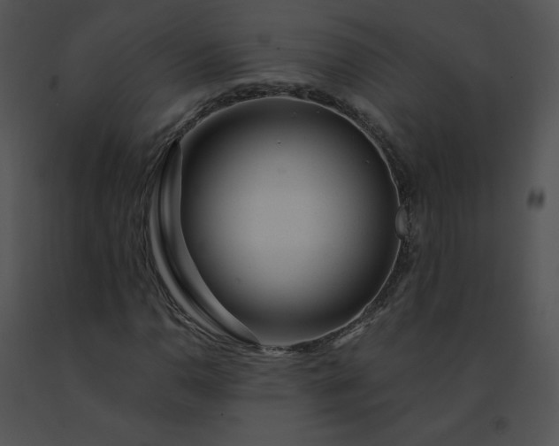 X0000091531110200708311304