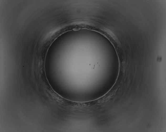 X0000091531111200708311304
