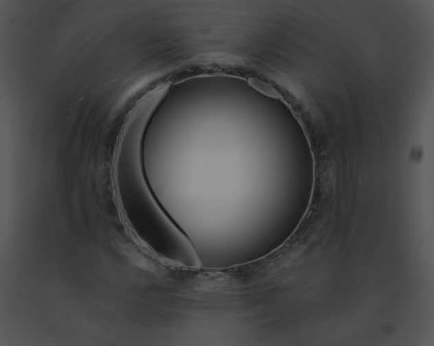 X0000091531112200708311304