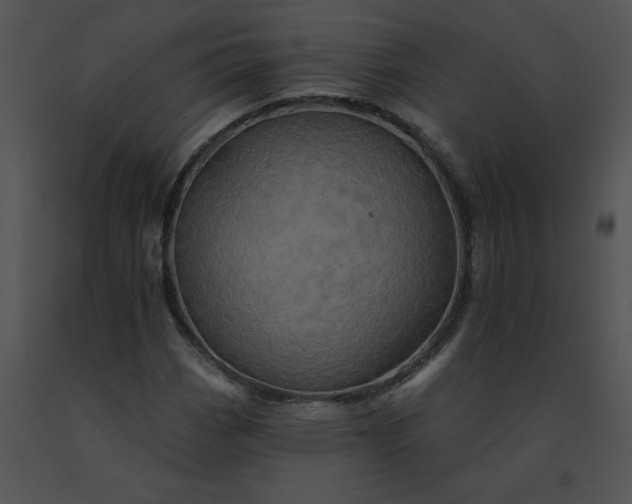 X0000091531113200708311304