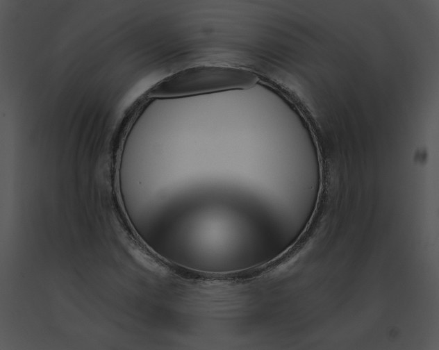 X0000091531114200708311304