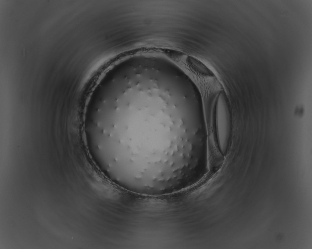 X0000091531115200708311304