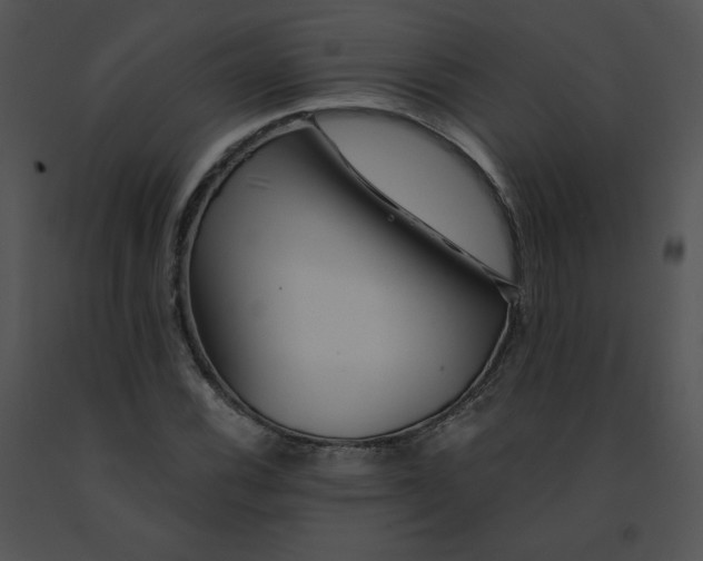 X0000091531116200708311304