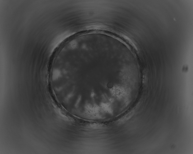 X0000091531117200708311304