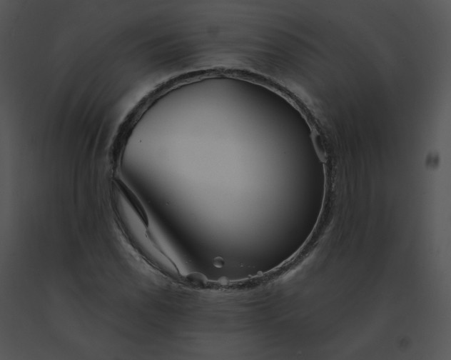 X0000091531118200708311304