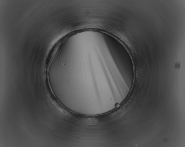 X0000091531119200708311304