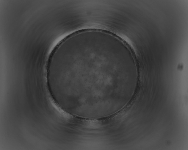 X0000091531120200708311304