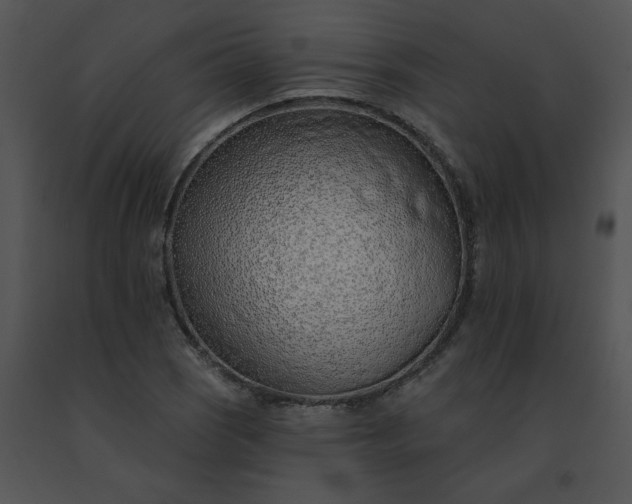X0000091531121200708311304
