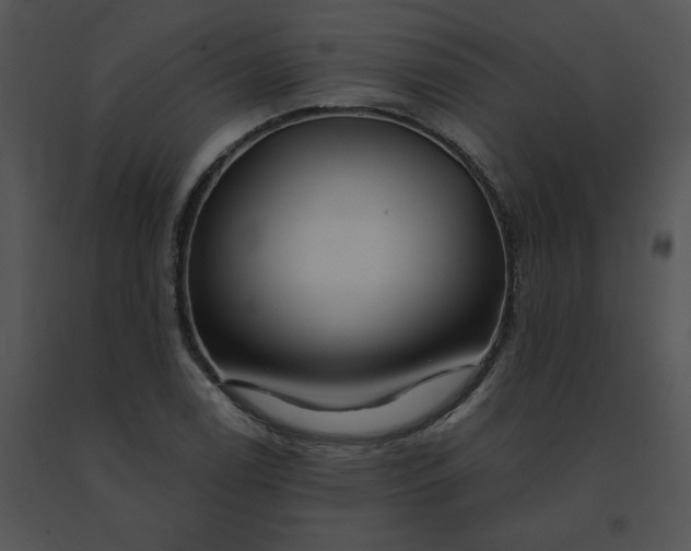 X0000091531122200708311305