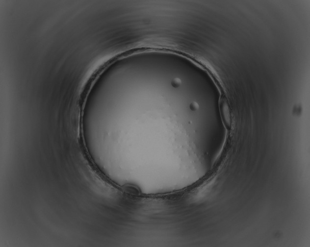 X0000091531123200708311305