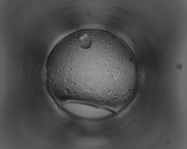 X0000091531125200708311305