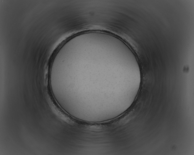 X0000091531126200708311305