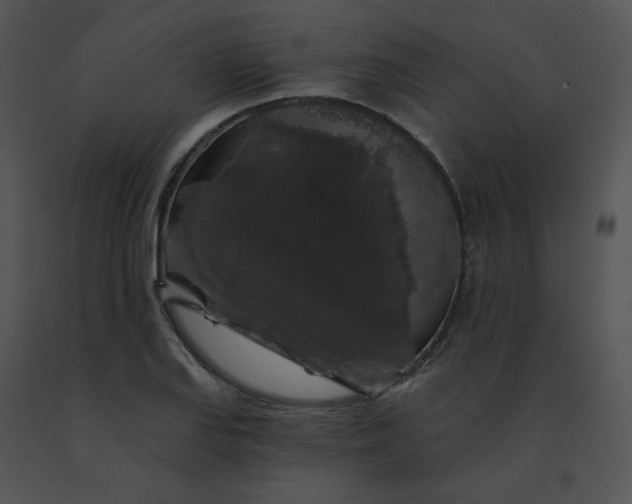 X0000091531127200708311305