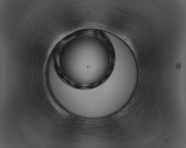 X0000091531128200708311305