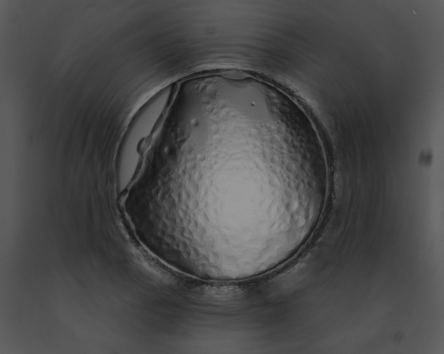 X0000091531129200708311305