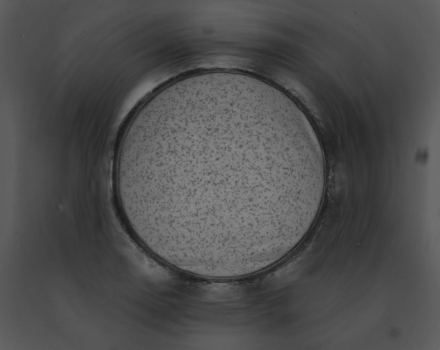 X0000091531130200708311305