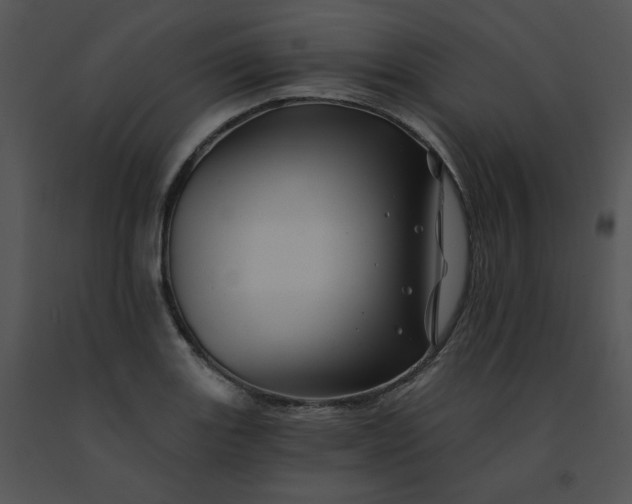 X0000091531131200708311305