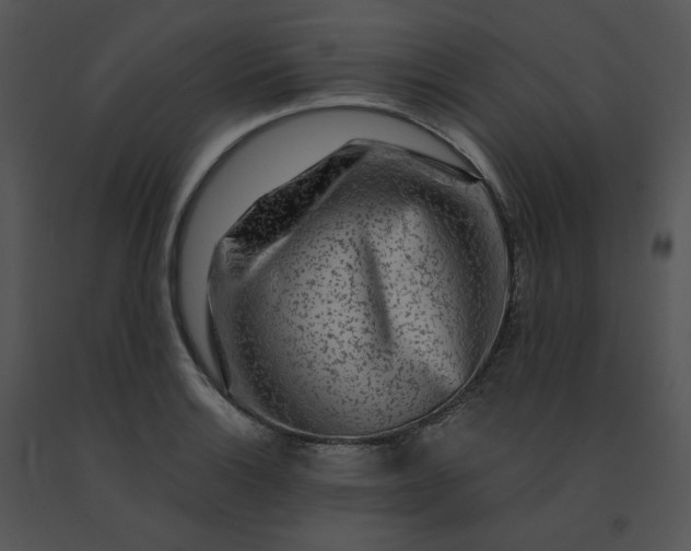 X0000091531132200708311305