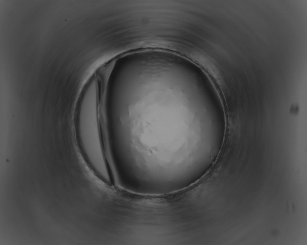 X0000091531133200708311305