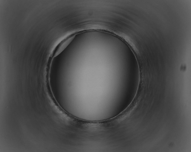 X0000091531134200708311305