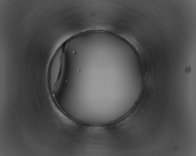 X0000091531135200708311305