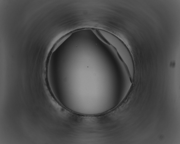 X0000091531136200708311305