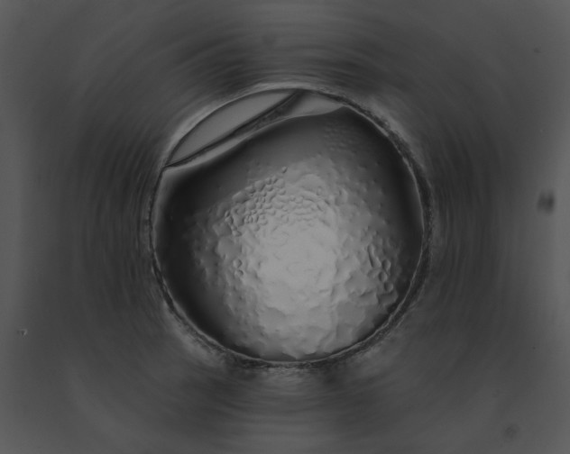 X0000091531137200708311305