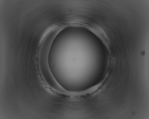 X0000091531138200708311305