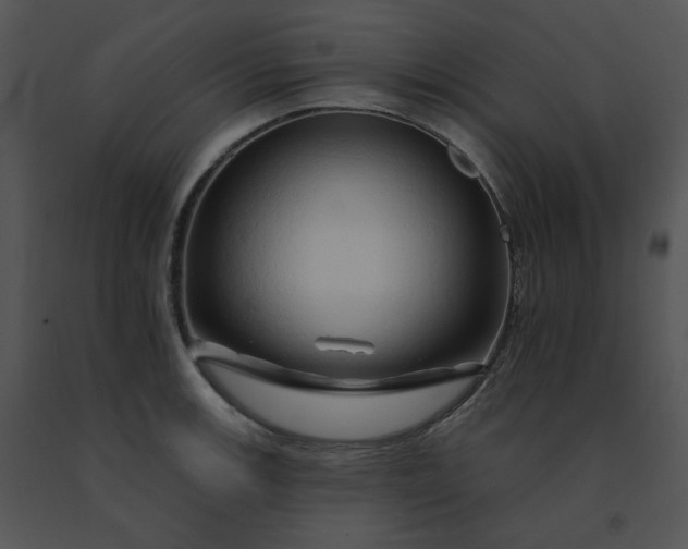 X0000091531139200708311305
