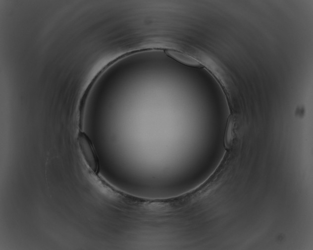 X0000091531140200708311305
