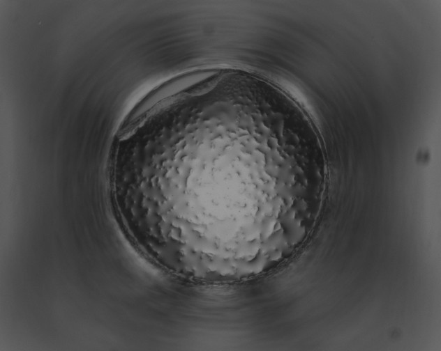X0000091531141200708311305