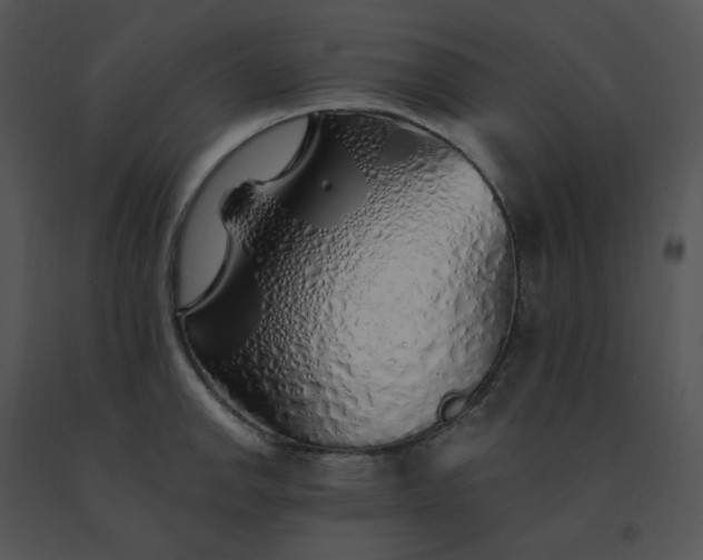 X0000091531142200708311305