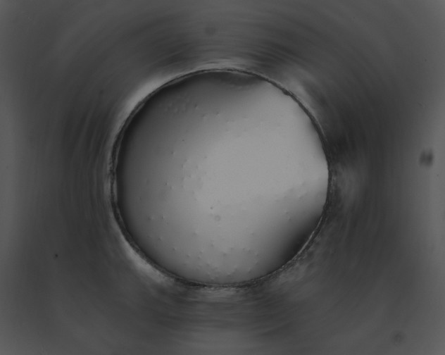 X0000091531143200708311305