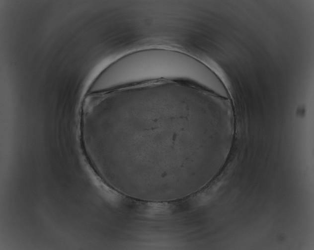 X0000091531144200708311305