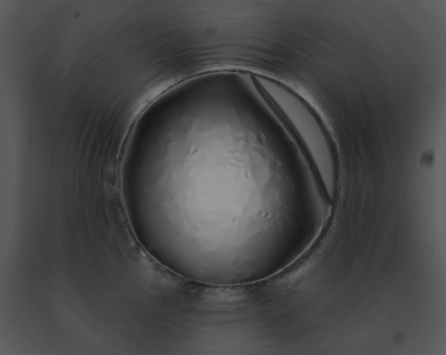 X0000091531145200708311305