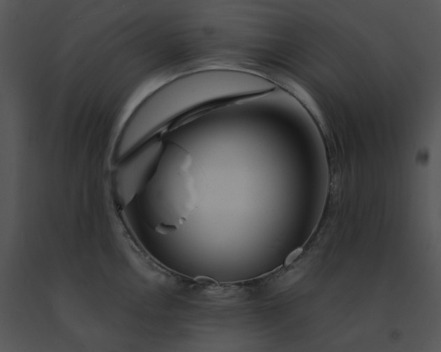 X0000091531146200708311305