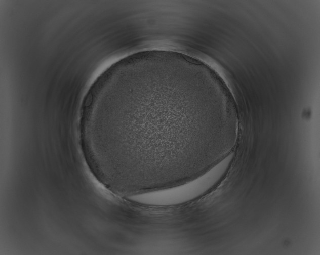 X0000091531147200708311305