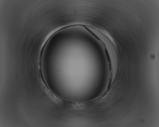 X0000091531148200708311305