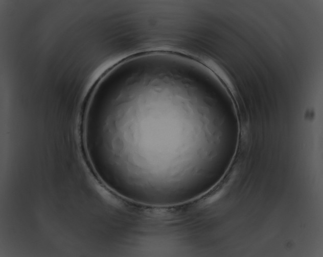 X0000091531149200708311305