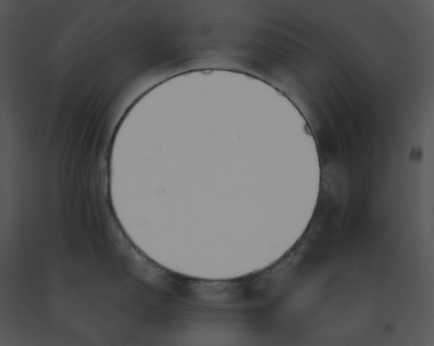 X0000091531150200708311305