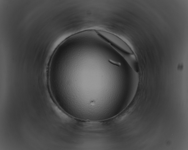 X0000091531151200708311305