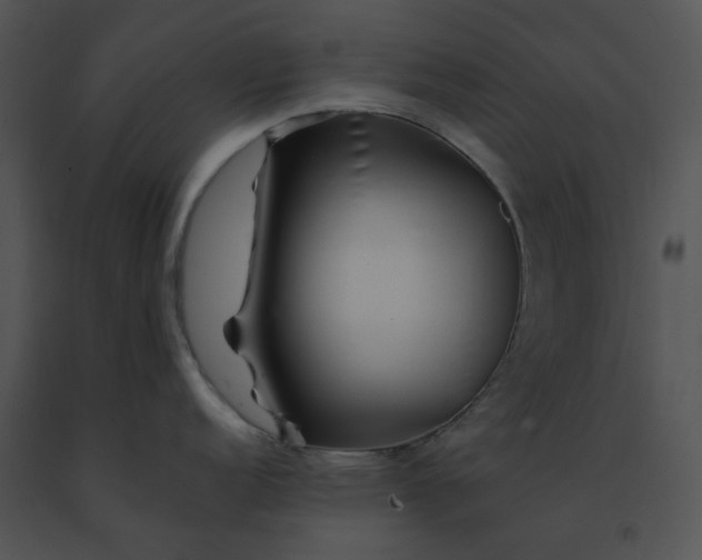X0000091531152200708311305