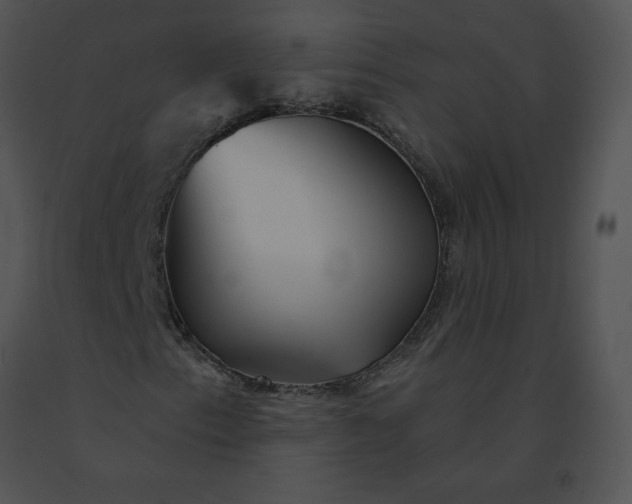 X0000091531153200708311304