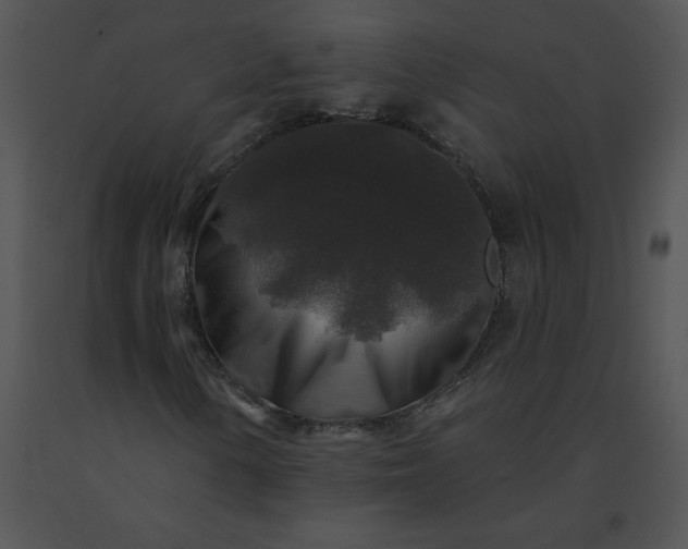 X0000091531154200708311304