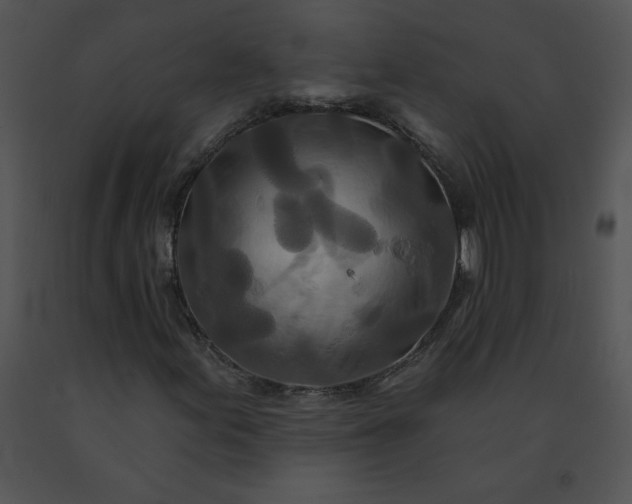 X0000091531155200708311304