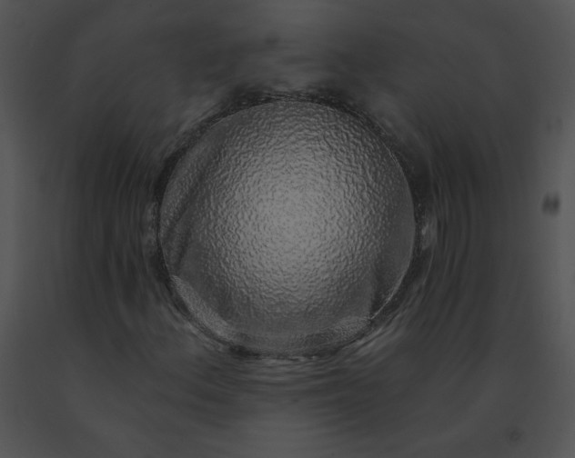 X0000091531156200708311304